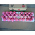 Fruit de pomme frais entièrement blush grandes tailles